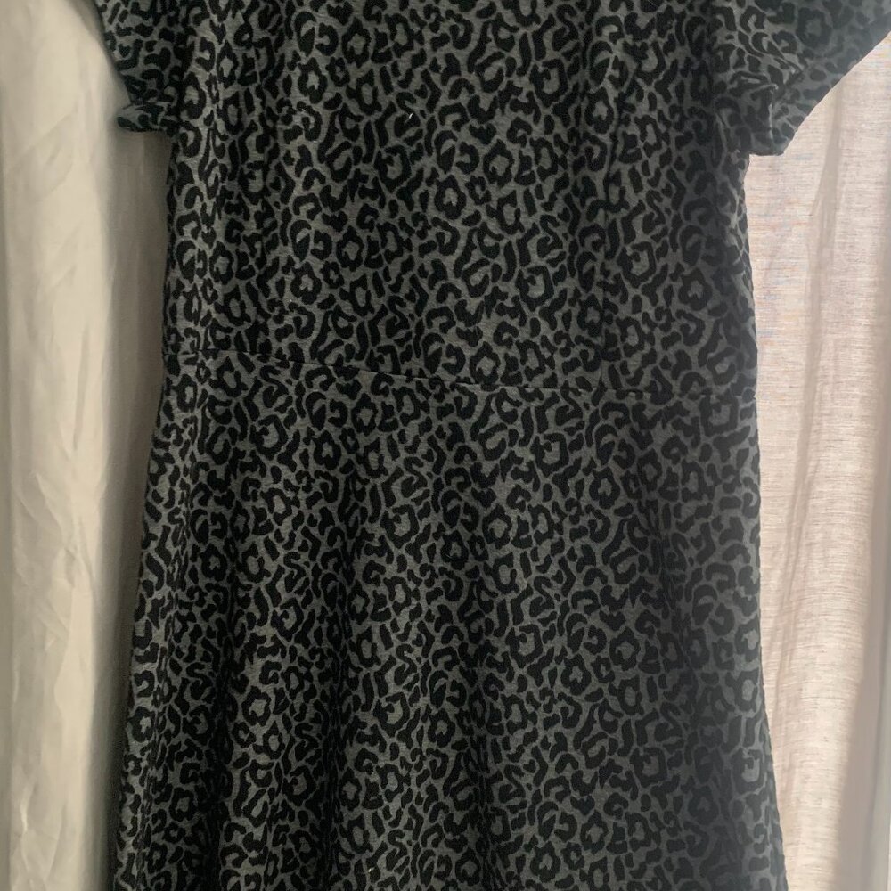 Leopard print Loft dress